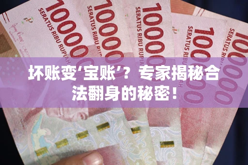 北京坏账变‘宝账’？专家揭秘合法翻身的秘密！