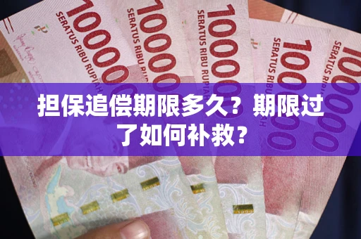 北京担保追偿期限多久？期限过了如何补救？