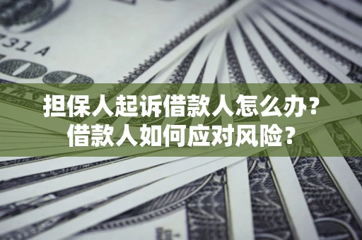 北京担保人起诉借款人怎么办？借款人如何应对风险？