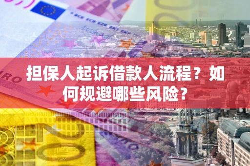 北京担保人起诉借款人流程？如何规避哪些风险？