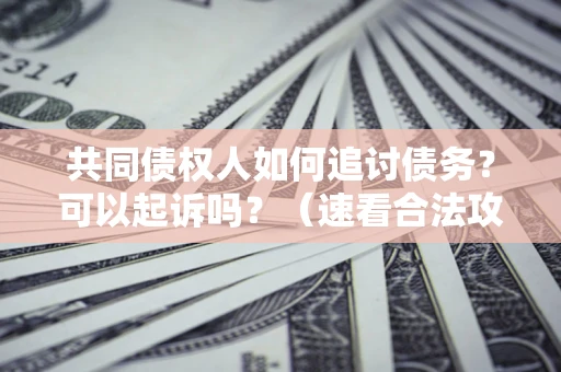 北京共同债权人如何追讨债务？可以起诉吗？（速看合法攻略）